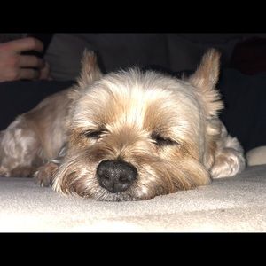 Meet your Posher, Allyson